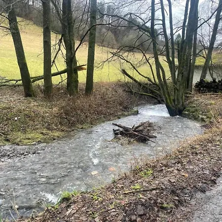 Apartment Mit Balkon Und Toller Aussicht Willingen (Upland)