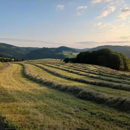 Mit Balkon Und Toller Aussicht *