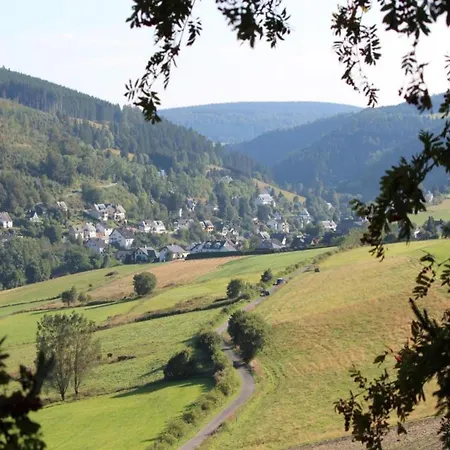 Apartment Mit Balkon Und Toller Aussicht Willingen (Upland)