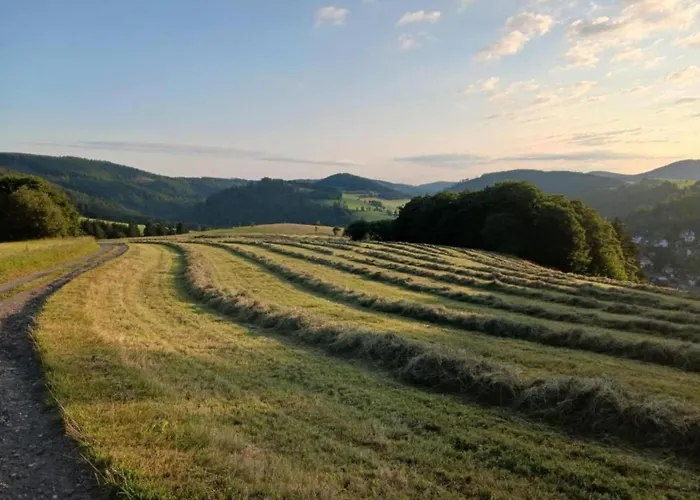 Mit Balkon Und Toller Aussicht *