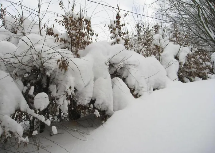 Mit Balkon Und Toller Aussicht
