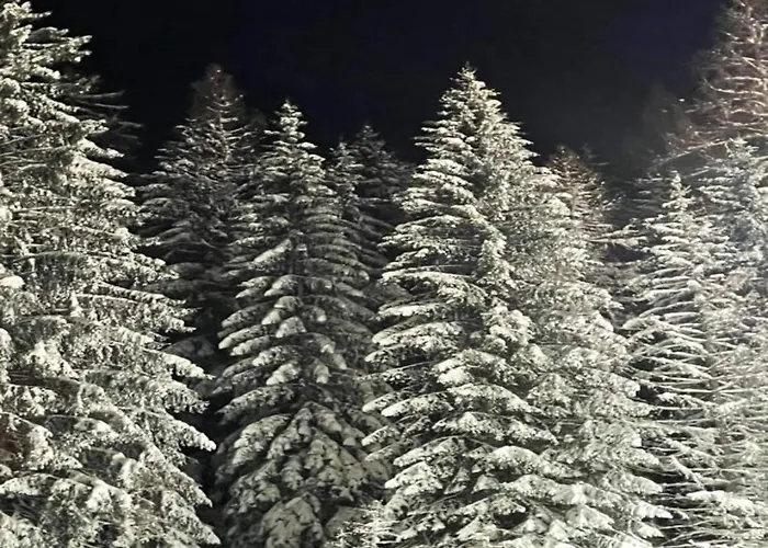 Mit Balkon Und Toller Aussicht 빌링겐